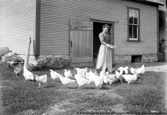 ferme_bibliotheque_archives_canada_William_James_Topley_PA-010669